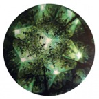 WQ-005-697x700