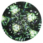 WQ-006-692x700