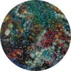 WQ019-700x700
