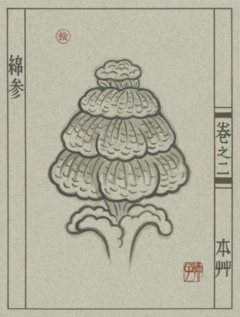 Loading Image