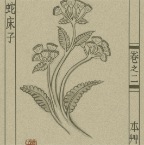 GW23-530x700