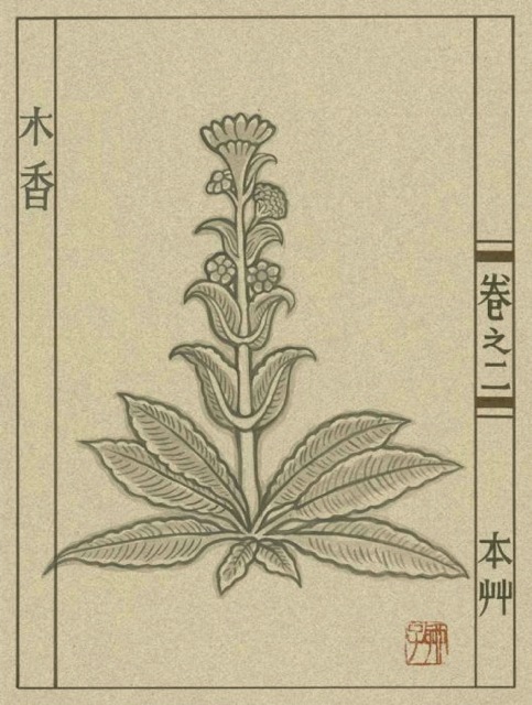 Loading Image
