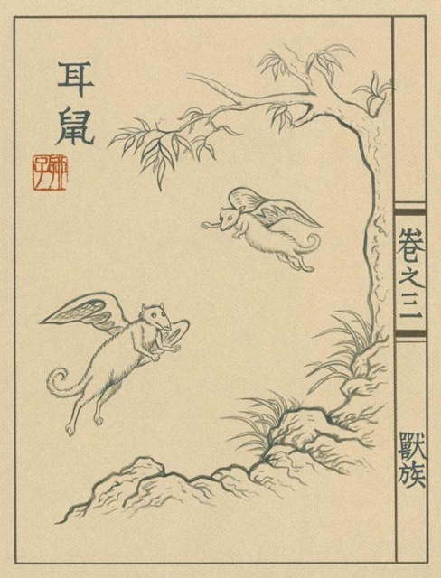 Loading Image