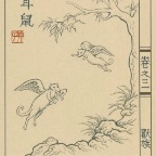 GW32-533x700
