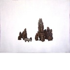 13无角的犀牛