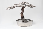 Guo zilong017