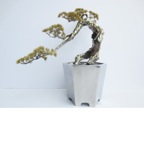 Guo zilong002