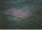 隐秘的风景3号，50^80cm,数码冲印，摄影作品，2005年