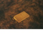隐秘的风景6号，50^80cm,数码冲印，摄影作品，2005年