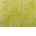 原衍生息ON 5宣纸 墨 植物色 2012年  