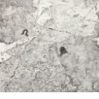何灿波作品《彼此》Each+other+水墨宣纸，89X96cm+2012