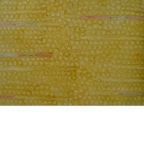 原衍生息ON35 宣纸 墨植物色2013年,60 X 82