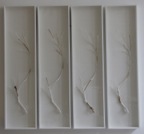 Wei Ming3