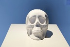 Li Hongbo, Skull